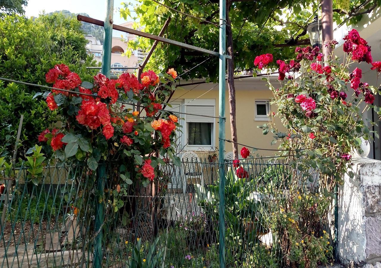 Apartman Lora Budva Exterior foto